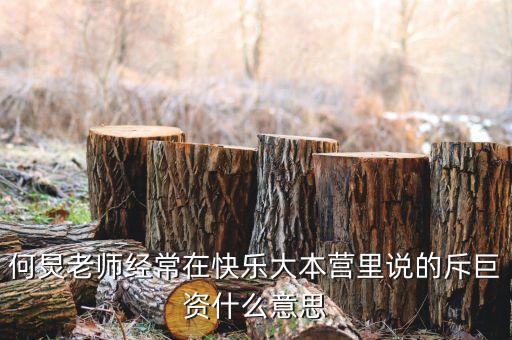 赤巨資是什么意思，赤巨資是什么意思能解釋一下嗎