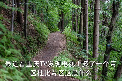 最近看重慶TV發(fā)現(xiàn)電視上多了一個(gè)專區(qū)杜比專區(qū)這是什么