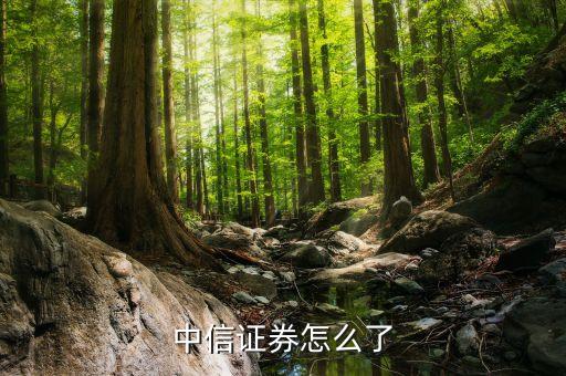 郭志榮為什么離開(kāi)中信，中信證券怎么了