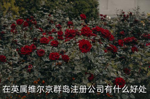 在英屬維爾京群島設(shè)立子公司有什么好處，設(shè)立子公司的好處有哪些