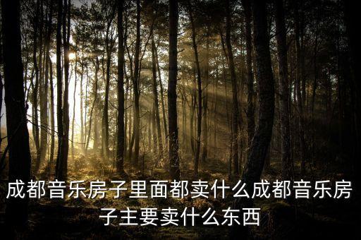 成都音樂(lè)房子里面都賣什么成都音樂(lè)房子主要賣什么東西