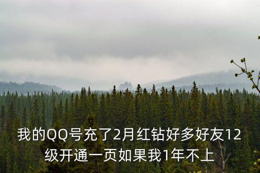 我的QQ號充了2月紅鉆好多好友12級開通一頁如果我1年不上