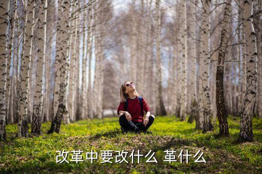 你認為我國改革的重心應是什么改，我國改革的任務決定了改革應是 A 經(jīng)濟體制的改革 B 政治體制的改革