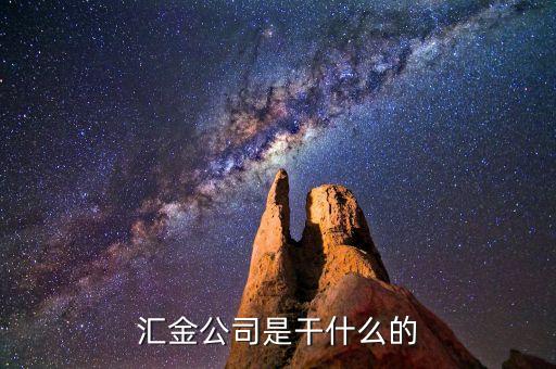 深圳惠程為什么匯金進駐，匯金公司是怎么回事