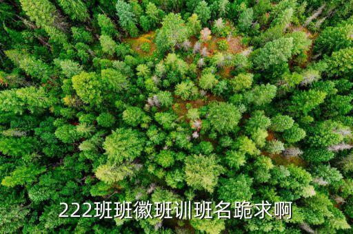 砥礪同心什么意思，翻建祖厝大門對聯(lián)