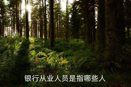 銀行從業(yè)人員是什么，我在銀行從業(yè)資格證里面看到一個(gè)銀行從業(yè)人員和銀行非從業(yè)人員
