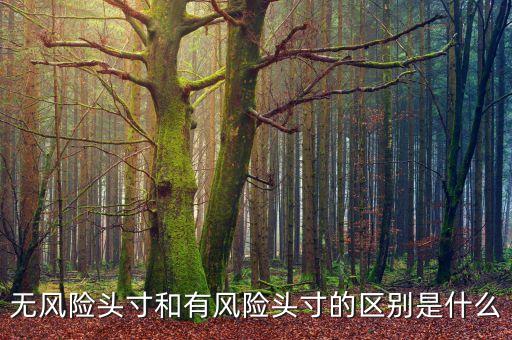 市場(chǎng)風(fēng)險(xiǎn)頭寸是什么，什么是可抵消市場(chǎng)風(fēng)險(xiǎn)頭寸