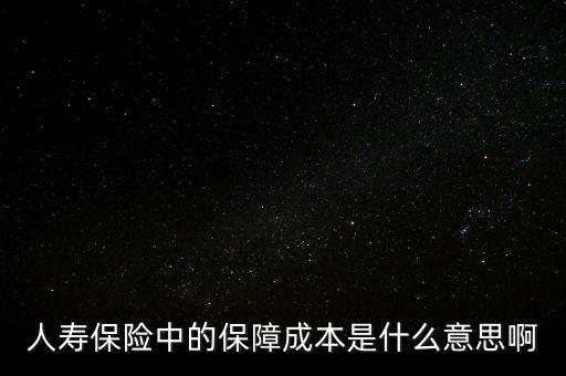 什么是保險(xiǎn)公司的保證成本，保險(xiǎn)中的保障成本是什么意思