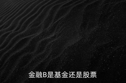 銀行b端是什么股票，金融B是基金還是股票