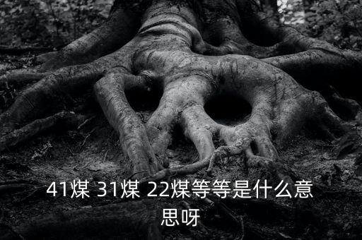 什么叫三二煤，2煤3煤什么意思