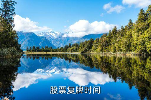 兔寶寶股票什么時(shí)候復(fù)牌，公告出來了請(qǐng)懂行的解釋一下什么時(shí)候可以復(fù)牌