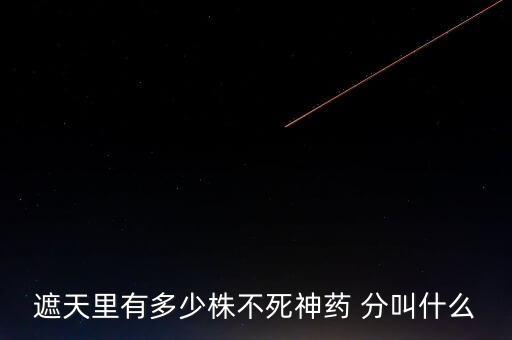 神藥代表什么，圣經(jīng)黃金沫藥什么含義