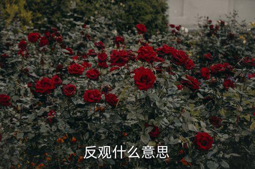 反觀當下是什么意思，求英語大神翻譯反觀當下