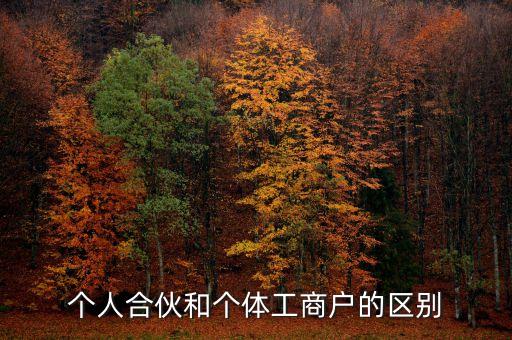 個人合伙領(lǐng)取什么經(jīng)營執(zhí)照，個人合伙辦理個體工商戶執(zhí)照