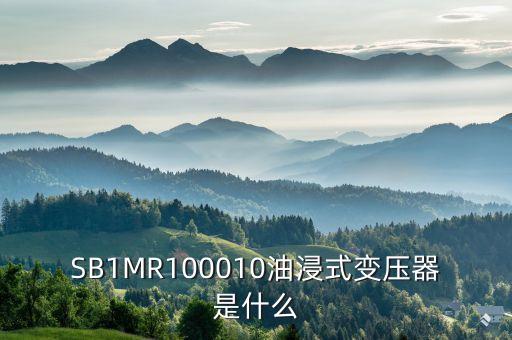 油浸式變壓器什么是酚推，SB1MR100010油浸式變壓器是什么