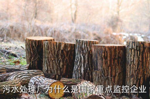 重點(diǎn)監(jiān)控企業(yè)為什么，稅務(wù)局來電要我們公處理重點(diǎn)監(jiān)控是什么意思
