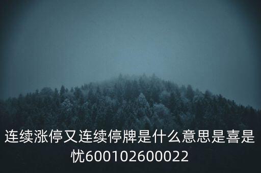 600139連續(xù)停牌是什么意思，股票連續(xù)停牌是什么意思