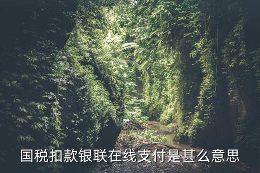 銀聯(lián)劃扣跟連連支付有什么區(qū)別，國(guó)稅扣款銀聯(lián)在線支付是甚么意思