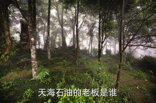 天海收購英邁什么時間，信用卡能不能申請延遲2天海款
