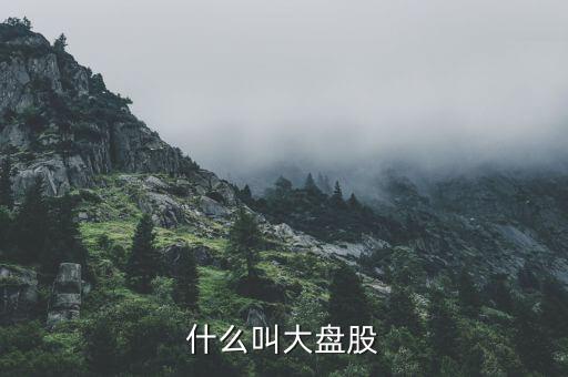 大盤股是什么意思，什么是大盤股
