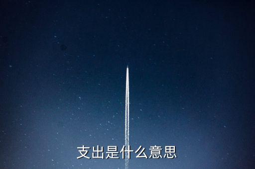 什么是下甩支出，請(qǐng)問會(huì)計(jì)里面的甩帳是什么意思