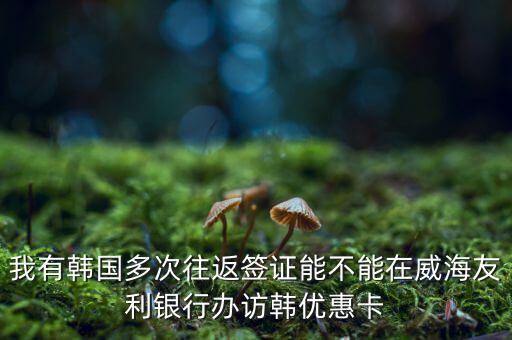 訪韓優(yōu)惠卡有什么作用，我有韓國多次往返簽證能不能在威海友利銀行辦訪韓優(yōu)惠卡