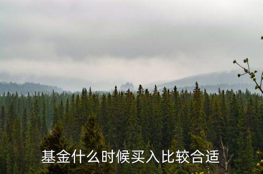 基金在什么時(shí)候買入，買入基金的最佳時(shí)機(jī)