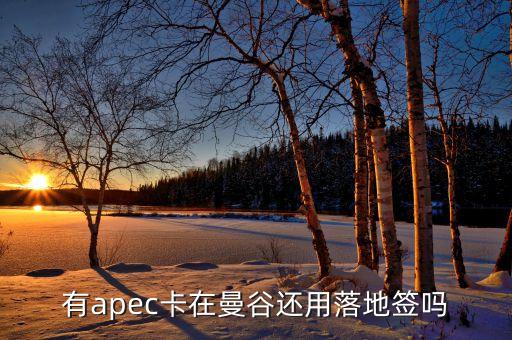 apec為什么有俄羅斯，亞太經(jīng)合組織怎么樣為什么中國1991年才加入怕俄羅斯聯(lián)邦嗎