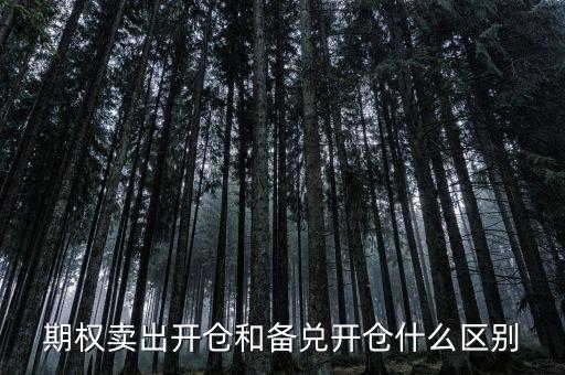 個(gè)股期權(quán)賣(mài)出開(kāi)倉(cāng)什么意思，賣(mài)出開(kāi)倉(cāng)是咋意思