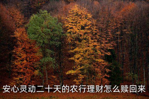 安心靈動20天什么時候可以贖回，安心靈動二十天的農(nóng)行理財怎么贖回來