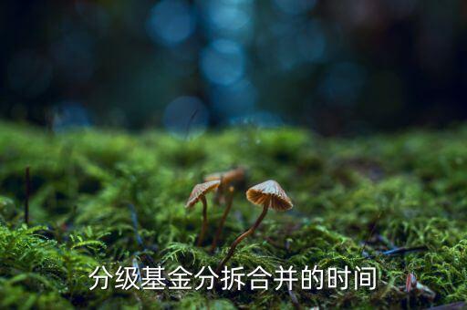 基金什么時(shí)候拆分，基金一般在什么時(shí)候拆分或分紅