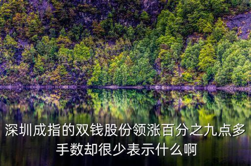 雙錢股份是什么公司，深圳成指的雙錢股份領(lǐng)漲百分之九點(diǎn)多 手?jǐn)?shù)卻很少表示什么啊