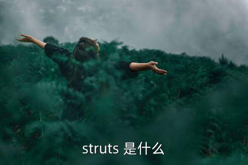 什么是中植系，struts 是什么