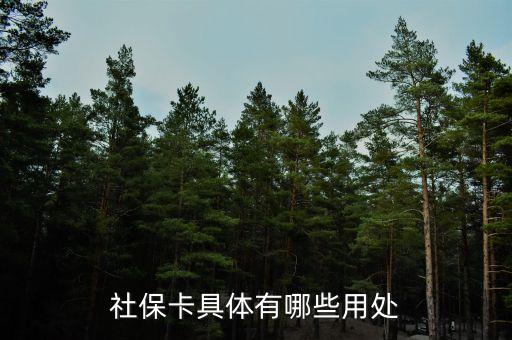 社?？ň唧w有哪些用處