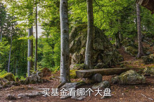基金看什么大盤走勢，買基金看哪個大盤