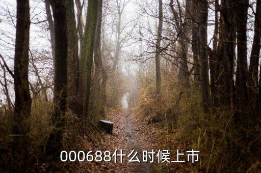 鼎盛財富什么時候上市，000688什么時候上市