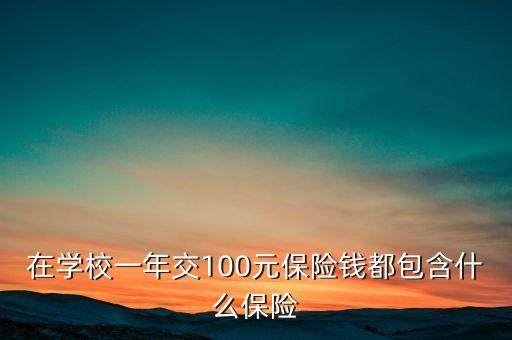 100元保險都保什么，在學校一年交100元保險錢都包含什么保險