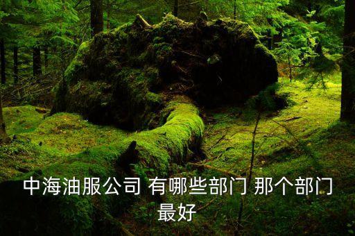 中海油什么部門(mén)好，中海油服公司 有哪些部門(mén) 那個(gè)部門(mén)最好