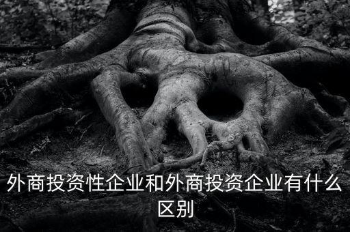 什么是投資性公司，外商投資性企業(yè)和外商投資企業(yè)有什么區(qū)別