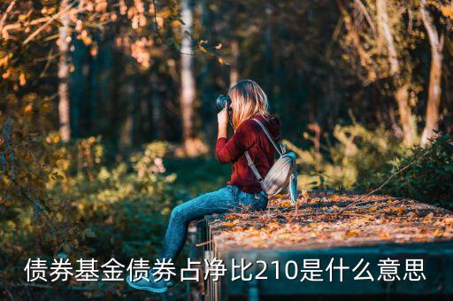 基金中的占凈比什么意思，債券基金債券占凈比210是什么意思