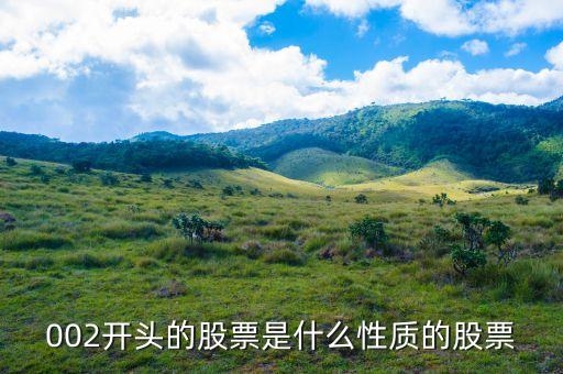 002打頭的股票代表什么，股票002開頭的是什么意思