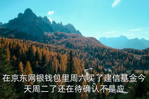002378建信什么時(shí)候確認(rèn)份額，在京東網(wǎng)銀錢包里周六買了建信基金今天周二了還在待確認(rèn)不是應(yīng)
