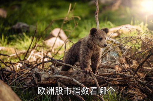 歐股叫什么指數(shù)，歐洲股市指數(shù)看哪個