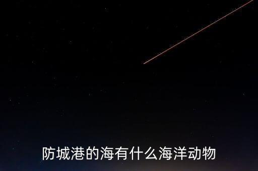 什么是沿邊金融，防城港的海有什么海洋動(dòng)物