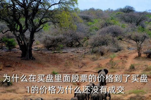 為什么股票買一價不交易，為什么在買盤里面股票的價格到了買盤1的價格為什么還沒有成交