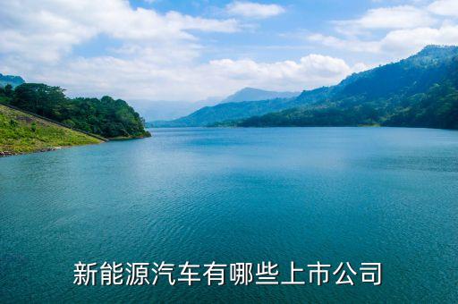 上汽集團(tuán)什么時(shí)候上市，上汽集團(tuán)股票的發(fā)行價(jià)格是多少