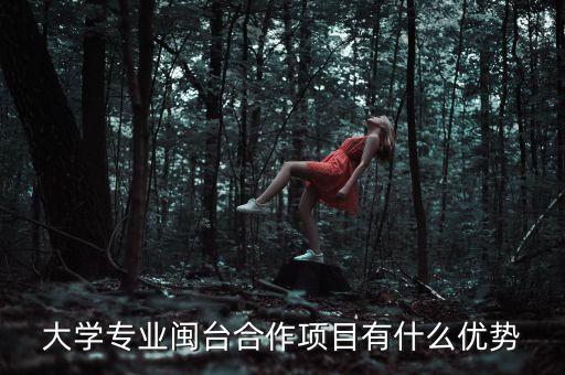 大學(xué)專(zhuān)業(yè)閩臺(tái)合作項(xiàng)目有什么優(yōu)勢(shì)