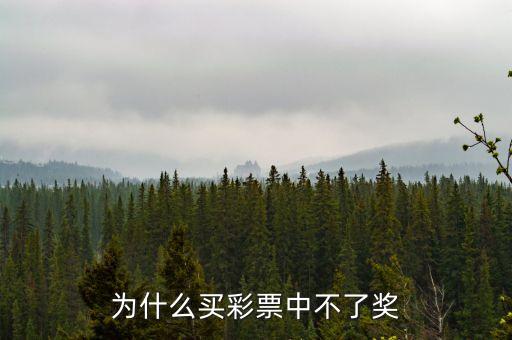 買彩票為什么不中獎，彩票為什么不中獎