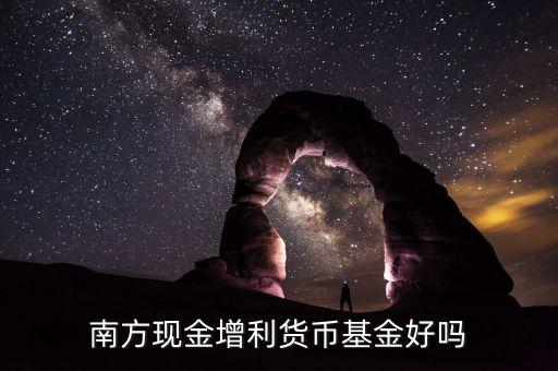 南方基金是什么，南方500基金怎么樣