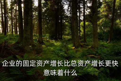固定資產(chǎn)增長(zhǎng)說明什么，流動(dòng)資產(chǎn)固定資產(chǎn)長(zhǎng)期投資都增加從公司資產(chǎn)規(guī)模及變動(dòng)趨勢(shì)